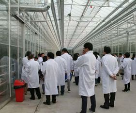 永通科技亮相京津冀，共探蔬菜工廠化生產(chǎn)新路徑