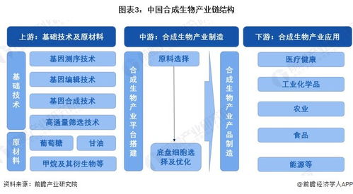 2024年中國合成生物產(chǎn)業(yè)全景圖譜 規(guī)模、布局與技術(shù)路線解析